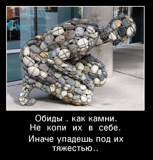 Демотиваторы