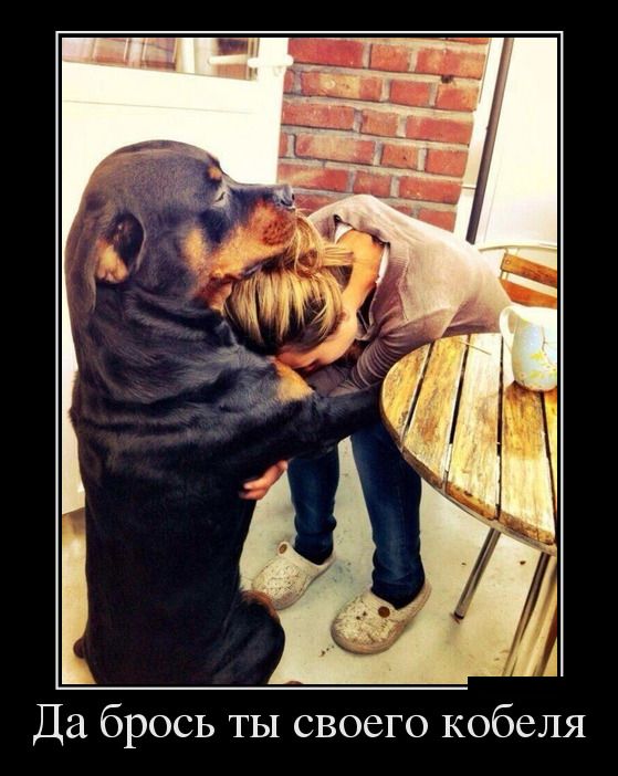 Демотиваторы