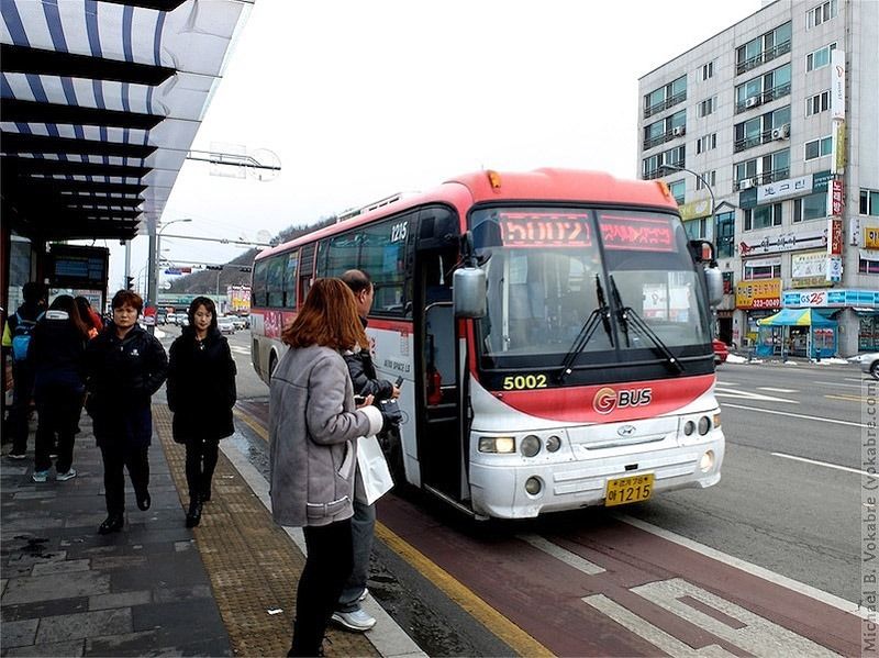 Что можно купить на доллар в разных странах (28 фото)