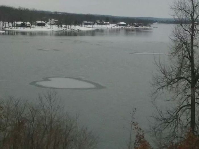 Прикольные картинки (50 фото)