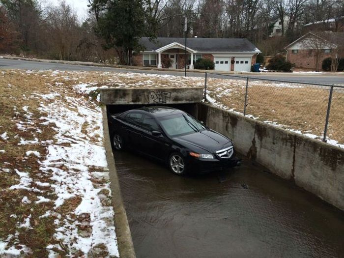 Прикольные картинки (50 фото)