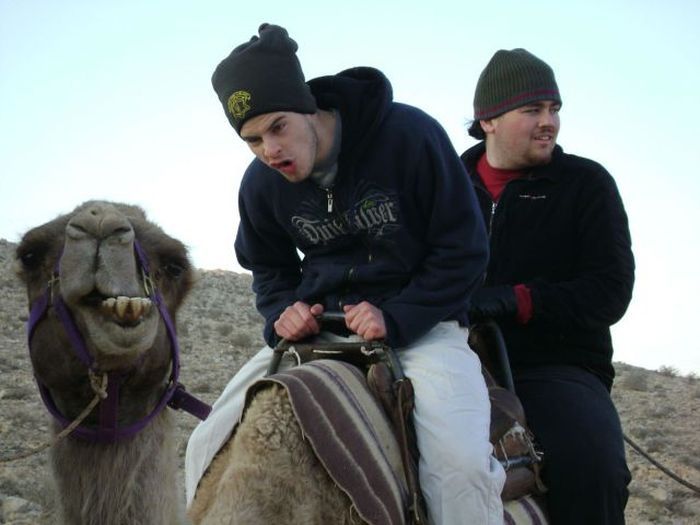 Прикольные картинки (50 фото)