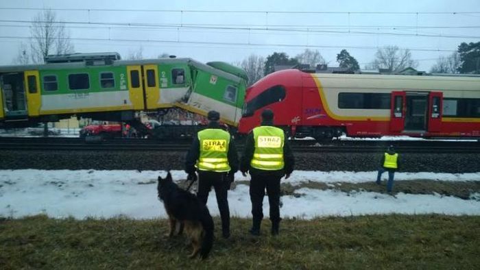 Прикольные картинки (50 фото)