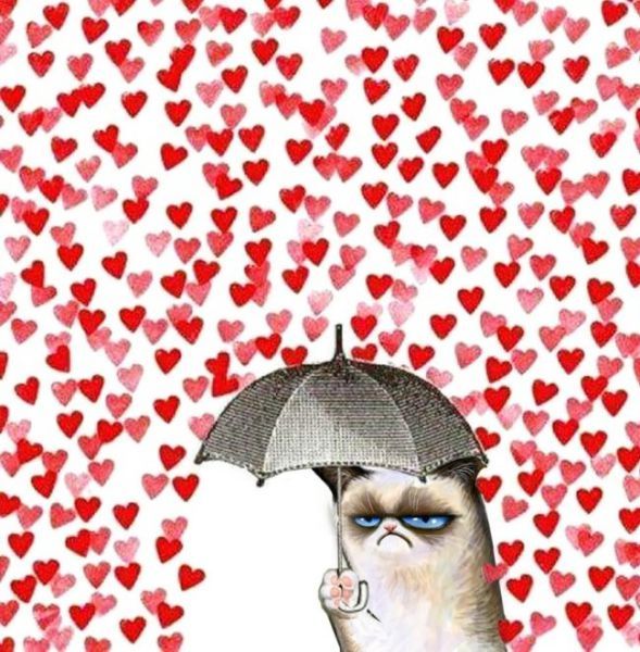 Прикольные картинки (50 фото)