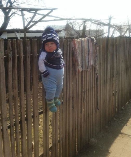 Прикольные картинки (50 фото)