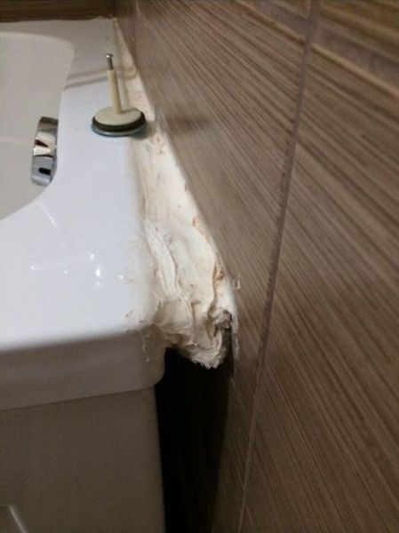 Прикольные картинки (50 фото)