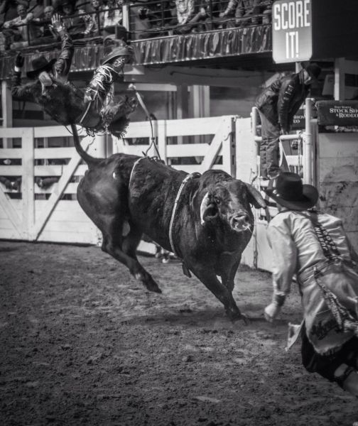 Прикольные картинки (50 фото)