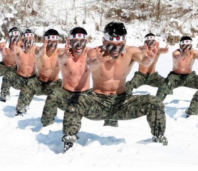 Прикольные картинки (50 фото)