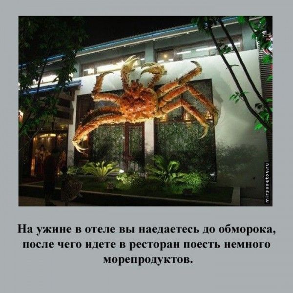 Признаки русского туриста (21 фото)