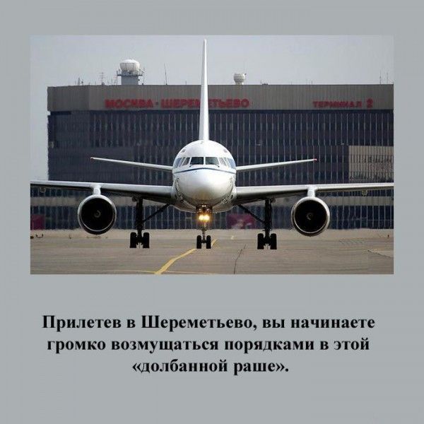 Признаки русского туриста (21 фото)