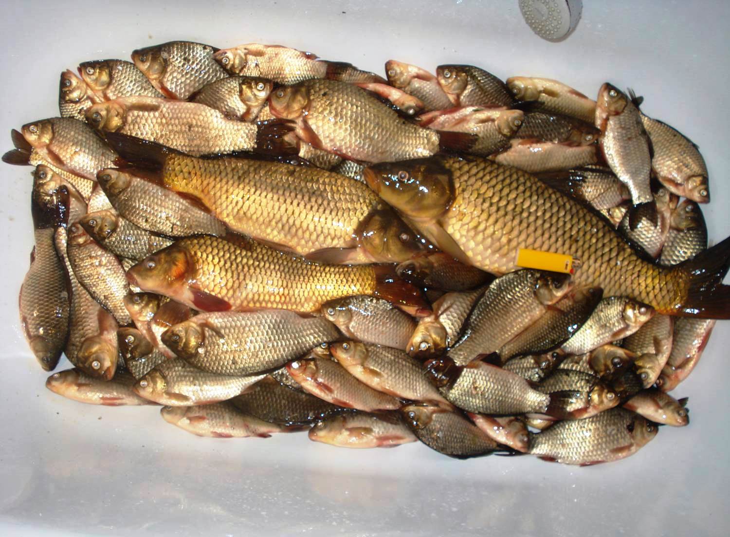 Что не дарить на День святого Валентина?