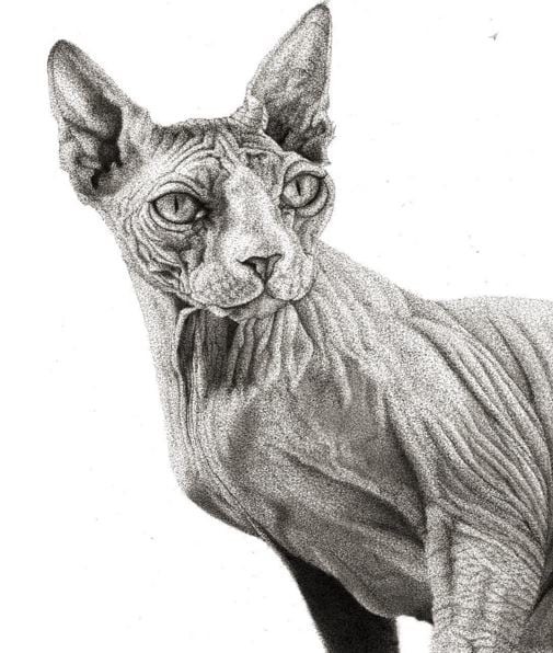 Миллион точек – и шедевр готов!