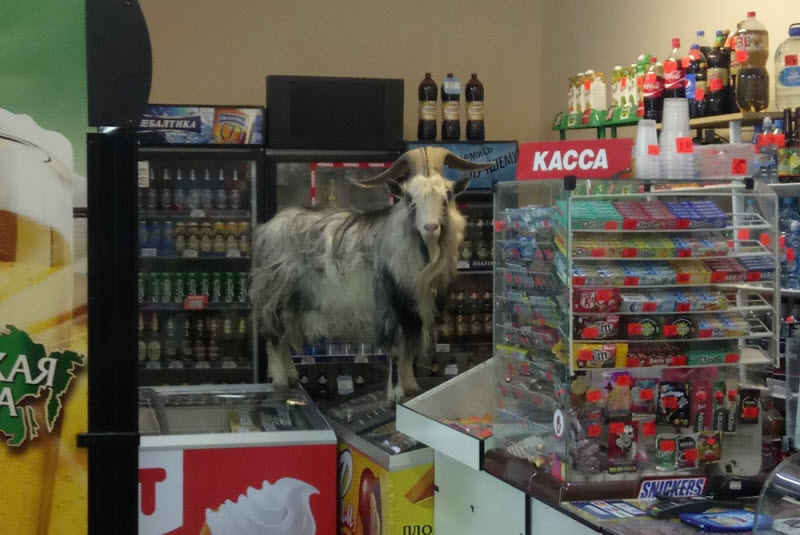 Удивительные снимки с российских просторов