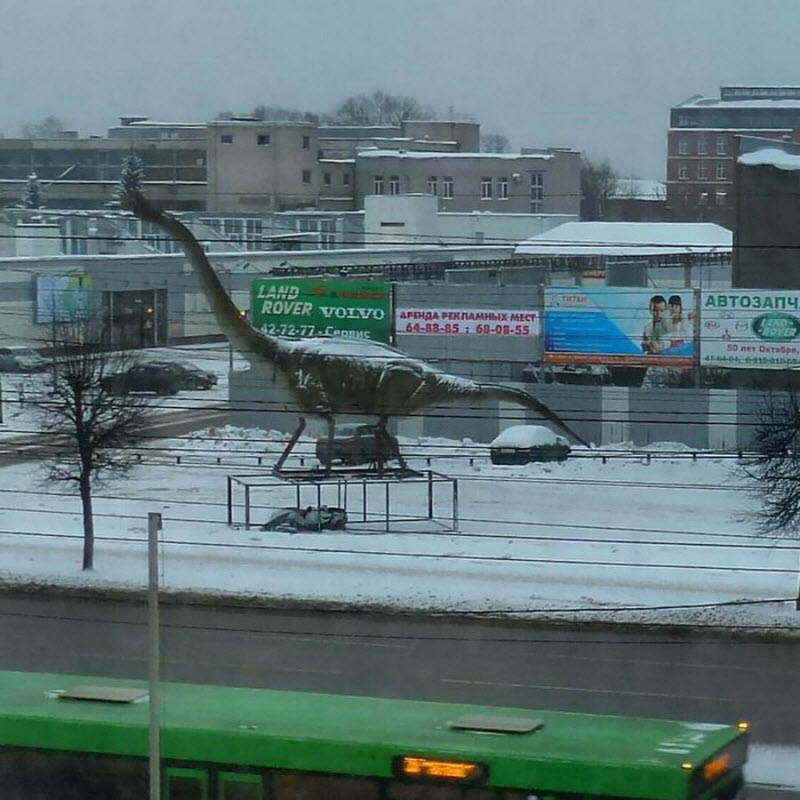 Удивительные снимки с российских просторов