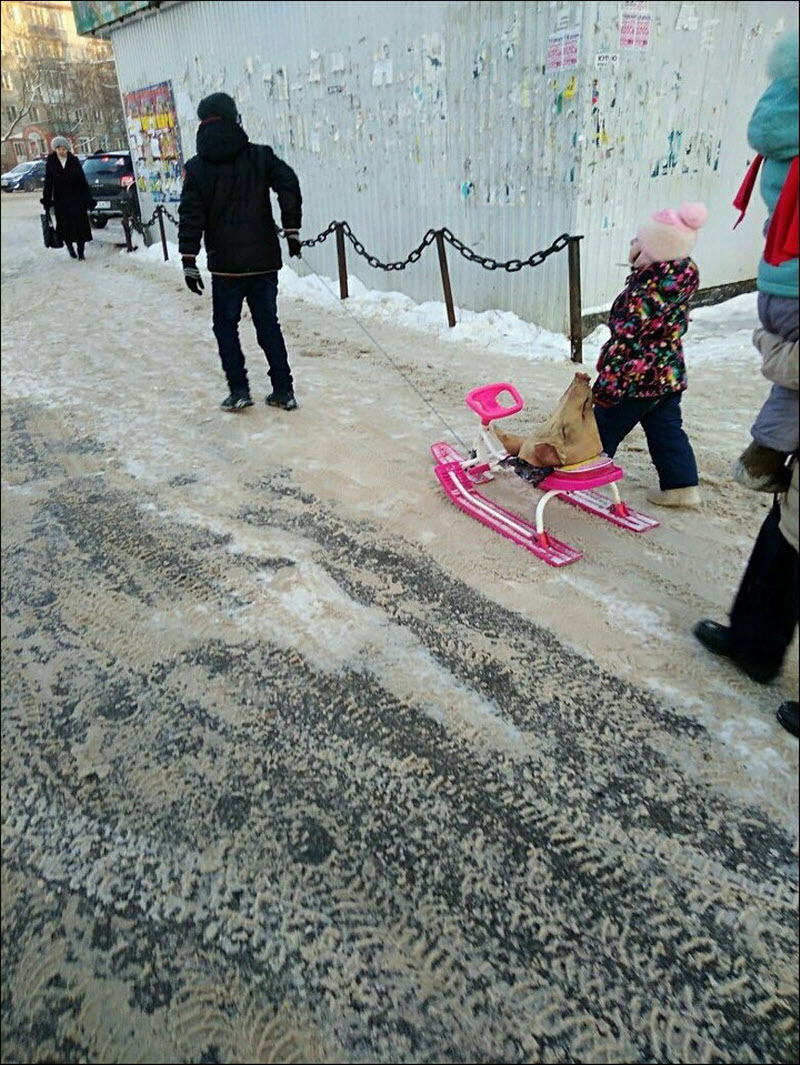 Удивительные снимки с российских просторов