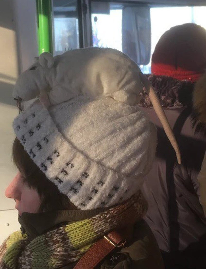 Удивительные снимки с российских просторов