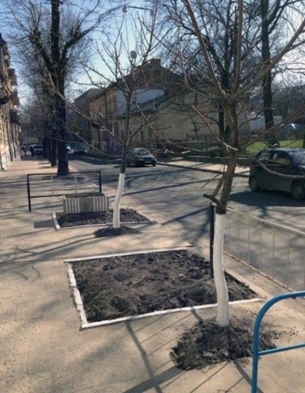 Креативные дворы от ЖКХ (25 фото) Креативные дворы от ЖКХ (25 фото)