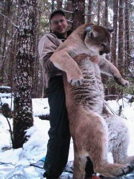 Привет из России (50 фото)