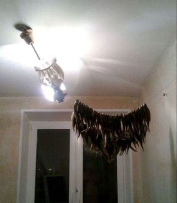 Привет из России (50 фото)