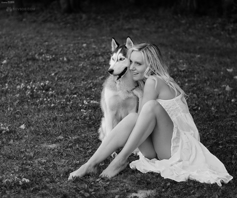 Девушки и собачки