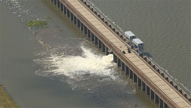 Люди, которые были правы