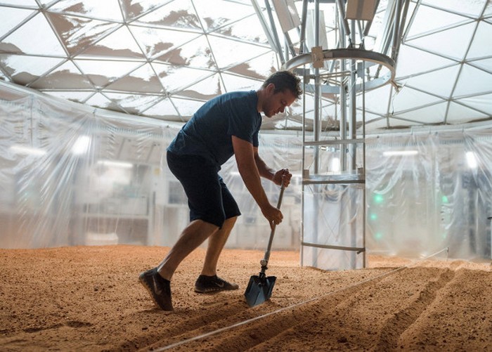 Картофель на Марсе – это реально! Картофель на Марсе – это реально!