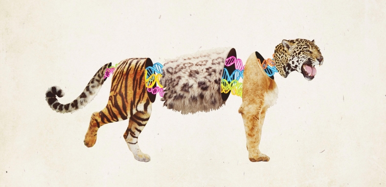 Ещё 12 самых невероятных научных теорий, которые взорвут ваш мозг