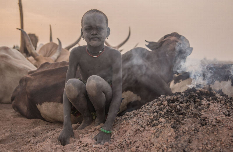 Племя Динка: они берут имена быков и моют головы коровьей мочой