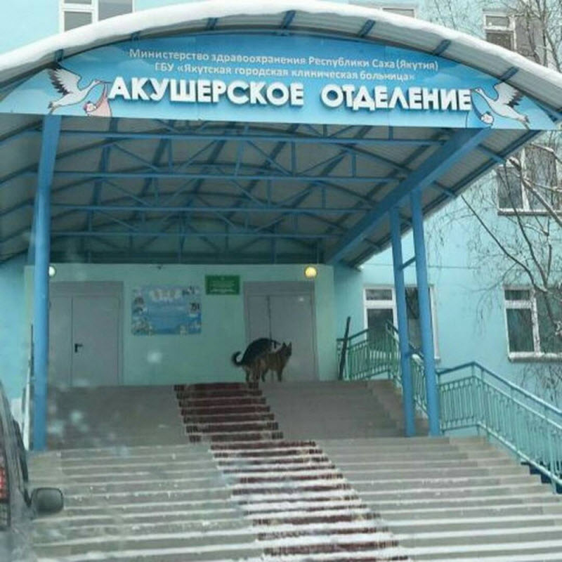 Удивительные снимки с российских просторов