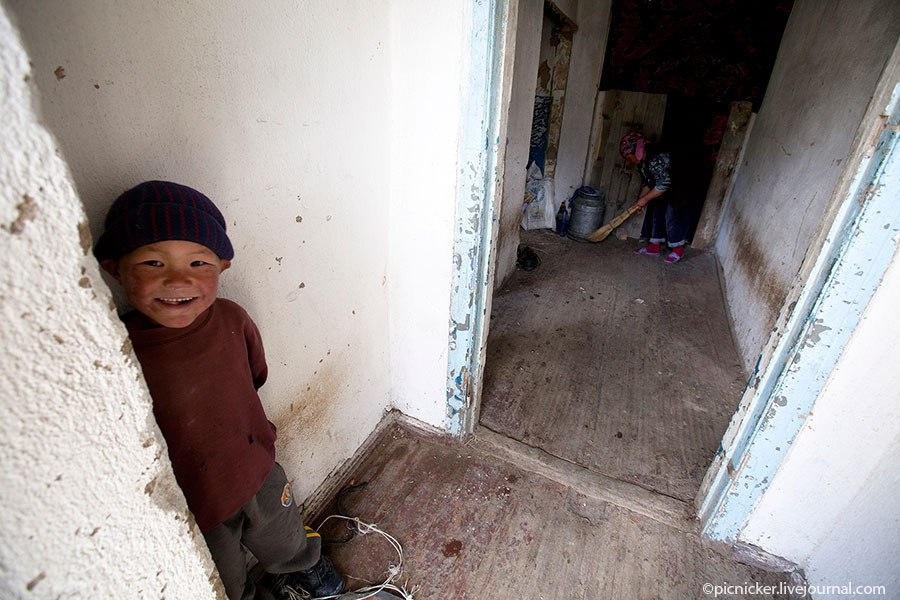 Весна — пора стричь овец