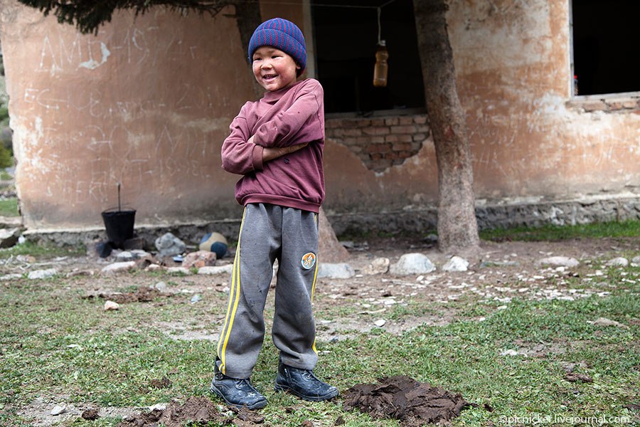 Весна — пора стричь овец