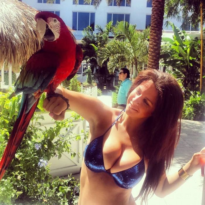 Сисястики (54 фото)