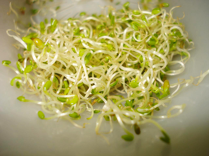 Крайне опасные продукты для беременных женщин