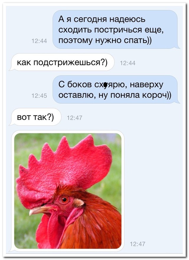 Смешные комментарии из социальных сетей