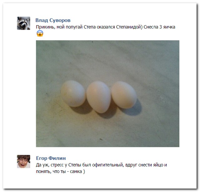 Смешные комментарии из социальных сетей