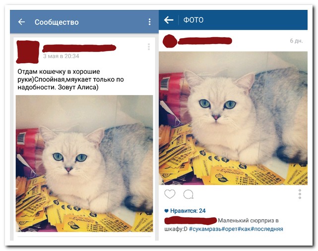 Смешные комментарии из социальных сетей