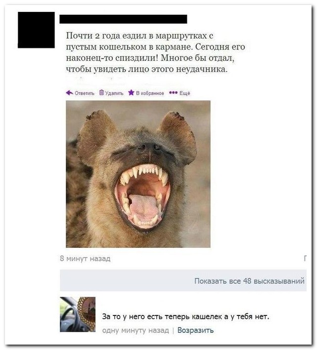 Смешные комментарии из социальных сетей