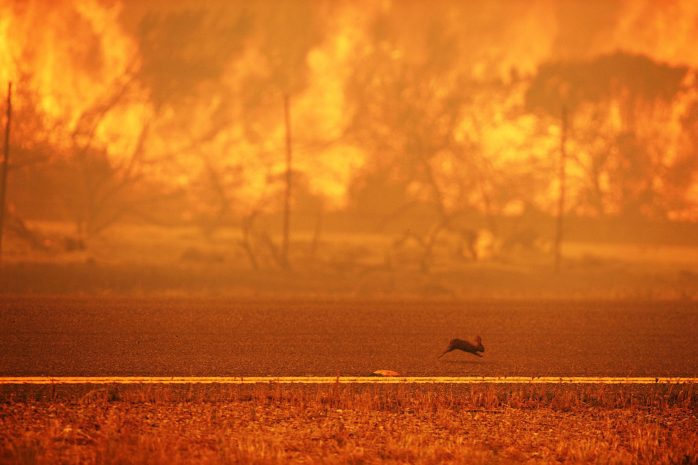 Серебряный огонь в Калифорнии Серебряный огонь в Калифорнии