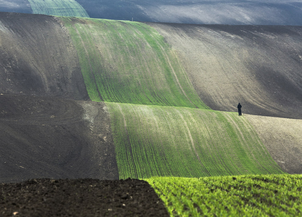 Человек и природа Человек и природа