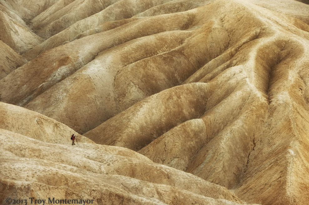 Человек и природа Человек и природа