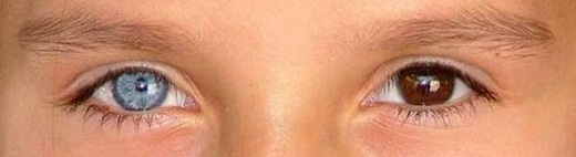 Человеческие глаза – только факты