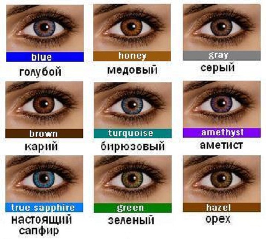 Человеческие глаза – только факты