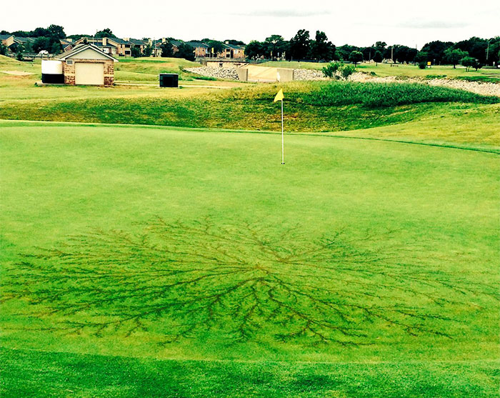 Что случается с человеком после удара молнии Что случается с человеком после удара молнии