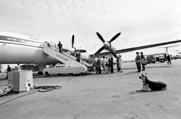 Она ждала два года (4 фото)