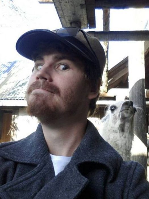 Прикольные картинки