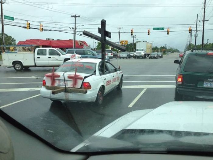 Прикольные картинки