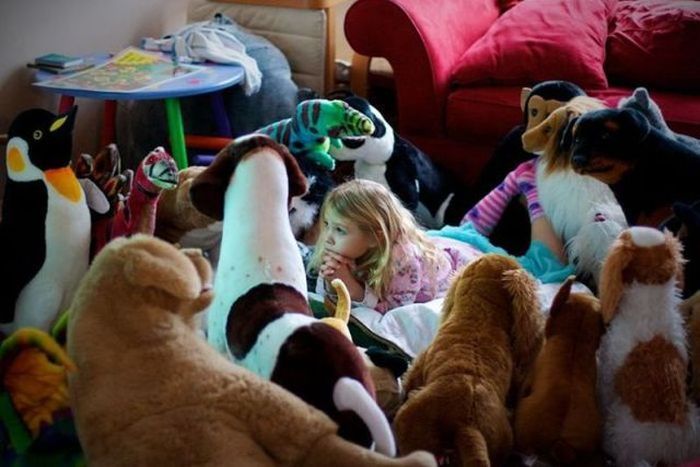 Прикольные картинки