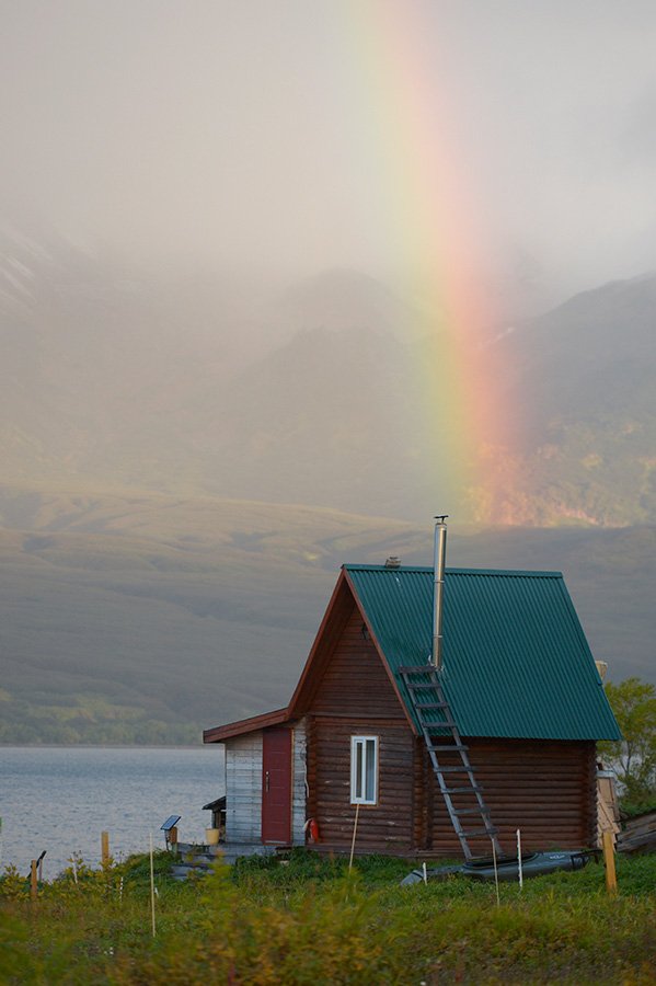 Медведи на Камчатке