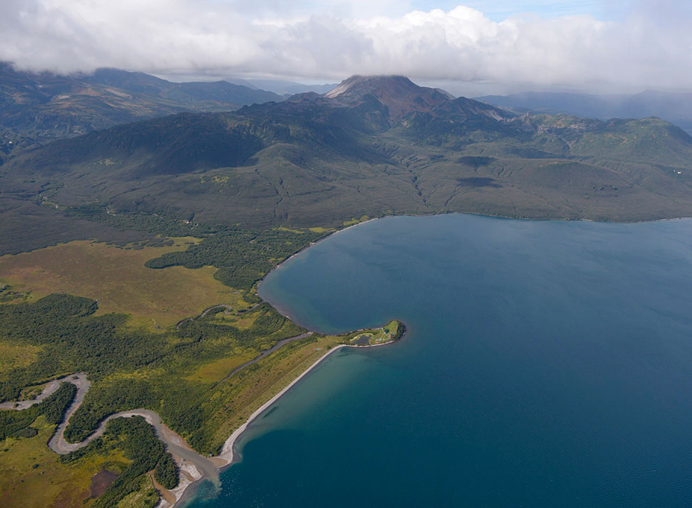 Медведи на Камчатке