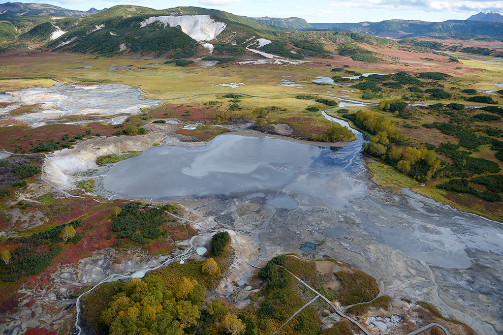 Медведи на Камчатке
